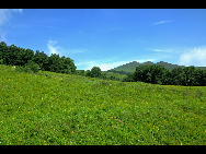 Lingshan Mountain is crowned as the highest mountain on the outskirts of Beijing. The top of the mountain is covered with snow all year round. It has the typical landform of a plateau with gentle slopes. As a matter of fact, July and early August are the spring time for Lingshan, when meadows thrive with green grass and languid white sheep wander across the meadow. It is also surprising to see mountain yaks which are known as the 'boat of the plateau' there. [妞妞她爸/bbs.fengniao]