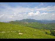 Lingshan Mountain is crowned as the highest mountain on the outskirts of Beijing. The top of the mountain is covered with snow all year round. It has the typical landform of a plateau with gentle slopes. As a matter of fact, July and early August are the spring time for Lingshan, when meadows thrive with green grass and languid white sheep wander across the meadow. It is also surprising to see mountain yaks which are known as the 'boat of the plateau' there. [妞妞她爸/bbs.fengniao]