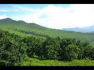 Lingshan Mountain is crowned as the highest mountain on the outskirts of Beijing. The top of the mountain is covered with snow all year round. It has the typical landform of a plateau with gentle slopes. As a matter of fact, July and early August are the spring time for Lingshan, when meadows thrive with green grass and languid white sheep wander across the meadow. It is also surprising to see mountain yaks which are known as the 'boat of the plateau' there. [妞妞她爸/bbs.fengniao]