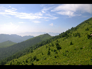 Lingshan Mountain is crowned as the highest mountain on the outskirts of Beijing. The top of the mountain is covered with snow all year round. It has the typical landform of a plateau with gentle slopes. As a matter of fact, July and early August are the spring time for Lingshan, when meadows thrive with green grass and languid white sheep wander across the meadow. It is also surprising to see mountain yaks which are known as the 'boat of the plateau' there. [妞妞她爸/bbs.fengniao]