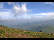 Lingshan Mountain is crowned as the highest mountain on the outskirts of Beijing. The top of the mountain is covered with snow all year round. It has the typical landform of a plateau with gentle slopes. As a matter of fact, July and early August are the spring time for Lingshan, when meadows thrive with green grass and languid white sheep wander across the meadow. It is also surprising to see mountain yaks which are known as the 'boat of the plateau' there. [妞妞她爸/bbs.fengniao]