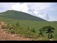 Lingshan Mountain is crowned as the highest mountain on the outskirts of Beijing. The top of the mountain is covered with snow all year round. It has the typical landform of a plateau with gentle slopes. As a matter of fact, July and early August are the spring time for Lingshan, when meadows thrive with green grass and languid white sheep wander across the meadow. It is also surprising to see mountain yaks which are known as the 'boat of the plateau' there. [妞妞她爸/bbs.fengniao]