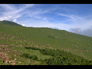 Lingshan Mountain is crowned as the highest mountain on the outskirts of Beijing. The top of the mountain is covered with snow all year round. It has the typical landform of a plateau with gentle slopes. As a matter of fact, July and early August are the spring time for Lingshan, when meadows thrive with green grass and languid white sheep wander across the meadow. It is also surprising to see mountain yaks which are known as the 'boat of the plateau' there. [妞妞她爸/bbs.fengniao]