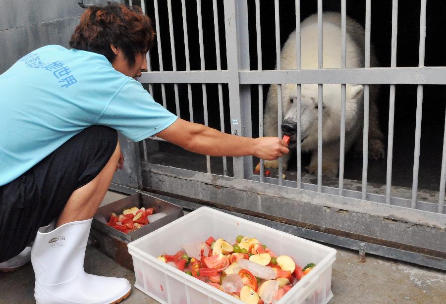 CHINA-SHANDONG-JINAN-POLAR BEAR (CN)