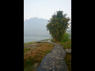 When you enter the bamboo sea in Southern Sichuan Province, you are surrounded by a green and luxuriant bamboo world. You can see 58 different kinds of bamboo. Once stepping into the sea of bamboo, you may feel a sense of tranquility. [冰城发烧/bbs.fengniao]