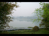 When you enter the bamboo sea in Southern Sichuan Province, you are surrounded by a green and luxuriant bamboo world. You can see 58 different kinds of bamboo. Once stepping into the sea of bamboo, you may feel a sense of tranquility. [冰城发烧/bbs.fengniao]