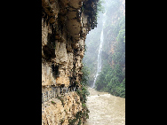 Located about 10 kilometers from Xingyi, the Maling River Gorge is a long and deep rift in the Yunnan-Guizhou Plateau cut by the surging Maling River. A series of both permanent and seasonal waterfalls (said to number around 100 in total) plunge or cascade down the steep cliffs on both sides of the gorge along its entire length. It is an ideal place for river drifting.[大卓卓888/bbs.fengniao]