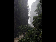 Located about 10 kilometers from Xingyi, the Maling River Gorge is a long and deep rift in the Yunnan-Guizhou Plateau cut by the surging Maling River. A series of both permanent and seasonal waterfalls (said to number around 100 in total) plunge or cascade down the steep cliffs on both sides of the gorge along its entire length. It is an ideal place for river drifting.[大卓卓888/bbs.fengniao]