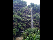 Located about 10 kilometers from Xingyi, the Maling River Gorge is a long and deep rift in the Yunnan-Guizhou Plateau cut by the surging Maling River. A series of both permanent and seasonal waterfalls (said to number around 100 in total) plunge or cascade down the steep cliffs on both sides of the gorge along its entire length. It is an ideal place for river drifting.[大卓卓888/bbs.fengniao]