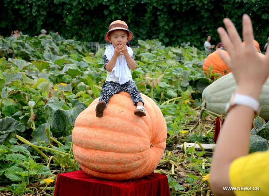 CHINA-CHANGCHUN-AGRICULTURAL FAIR (CN)