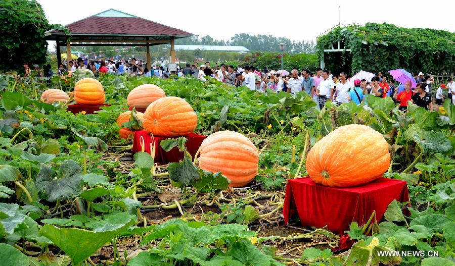 CHINA-CHANGCHUN-AGRICULTURAL FAIR (CN)