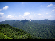 Jigong Mountain Nature Reserve, established in 1982, is located in Xinyang County, Henan Province. It is a sanctuary for transitional types of subtropical forest vegetation and rare wild animals and plants.Covering about 3,000 hectares, the nature reserve has 1,000 species of higher plants, such as masson pine, Huangshan pine, oak, white oak, magnolia, northern poplar, willow and elm. [宾友西君/bbs.fengniao]