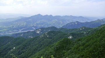 Jigong Mountain Nature Reserve
