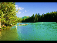 As a part of the Ha'nasi Lake area, Ha'nasi Nature Reserve lies in the northern part of Burqin County, Xinjiang Uygur Autonomous Region. It was established in 1980 as the 'pure land of the world' due to its unspoiled original natural scenery.The entire nature reserve occupies 2,200 square kilometers and contains snow mountains, glaciers, forests, flowers, lakes, meadows and almost all varieties of natural beauty. [初歌123/bbs.fengniao]