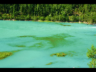 As a part of the Ha'nasi Lake area, Ha'nasi Nature Reserve lies in the northern part of Burqin County, Xinjiang Uygur Autonomous Region. It was established in 1980 as the 'pure land of the world' due to its unspoiled original natural scenery.The entire nature reserve occupies 2,200 square kilometers and contains snow mountains, glaciers, forests, flowers, lakes, meadows and almost all varieties of natural beauty. [初歌123/bbs.fengniao]