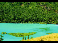 As a part of the Ha'nasi Lake area, Ha'nasi Nature Reserve lies in the northern part of Burqin County, Xinjiang Uygur Autonomous Region. It was established in 1980 as the 'pure land of the world' due to its unspoiled original natural scenery.The entire nature reserve occupies 2,200 square kilometers and contains snow mountains, glaciers, forests, flowers, lakes, meadows and almost all varieties of natural beauty. [初歌123/bbs.fengniao]