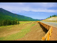 As a part of the Ha'nasi Lake area, Ha'nasi Nature Reserve lies in the northern part of Burqin County, Xinjiang Uygur Autonomous Region. It was established in 1980 as the 'pure land of the world' due to its unspoiled original natural scenery.The entire nature reserve occupies 2,200 square kilometers and contains snow mountains, glaciers, forests, flowers, lakes, meadows and almost all varieties of natural beauty. [初歌123/bbs.fengniao]