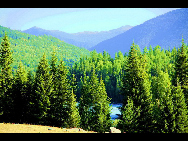 As a part of the Ha'nasi Lake area, Ha'nasi Nature Reserve lies in the northern part of Burqin County, Xinjiang Uygur Autonomous Region. It was established in 1980 as the 'pure land of the world' due to its unspoiled original natural scenery.The entire nature reserve occupies 2,200 square kilometers and contains snow mountains, glaciers, forests, flowers, lakes, meadows and almost all varieties of natural beauty. [初歌123/bbs.fengniao]