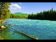 As a part of the Ha'nasi Lake area, Ha'nasi Nature Reserve lies in the northern part of Burqin County, Xinjiang Uygur Autonomous Region. It was established in 1980 as the 'pure land of the world' due to its unspoiled original natural scenery.The entire nature reserve occupies 2,200 square kilometers and contains snow mountains, glaciers, forests, flowers, lakes, meadows and almost all varieties of natural beauty. [初歌123/bbs.fengniao]