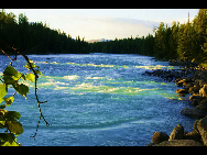 As a part of the Ha'nasi Lake area, Ha'nasi Nature Reserve lies in the northern part of Burqin County, Xinjiang Uygur Autonomous Region. It was established in 1980 as the 'pure land of the world' due to its unspoiled original natural scenery.The entire nature reserve occupies 2,200 square kilometers and contains snow mountains, glaciers, forests, flowers, lakes, meadows and almost all varieties of natural beauty. [初歌123/bbs.fengniao]