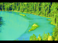As a part of the Ha'nasi Lake area, Ha'nasi Nature Reserve lies in the northern part of Burqin County, Xinjiang Uygur Autonomous Region. It was established in 1980 as the 'pure land of the world' due to its unspoiled original natural scenery.The entire nature reserve occupies 2,200 square kilometers and contains snow mountains, glaciers, forests, flowers, lakes, meadows and almost all varieties of natural beauty. [初歌123/bbs.fengniao]