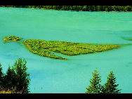 As a part of the Ha'nasi Lake area, Ha'nasi Nature Reserve lies in the northern part of Burqin County, Xinjiang Uygur Autonomous Region. It was established in 1980 as the 'pure land of the world' due to its unspoiled original natural scenery.The entire nature reserve occupies 2,200 square kilometers and contains snow mountains, glaciers, forests, flowers, lakes, meadows and almost all varieties of natural beauty. [初歌123/bbs.fengniao]