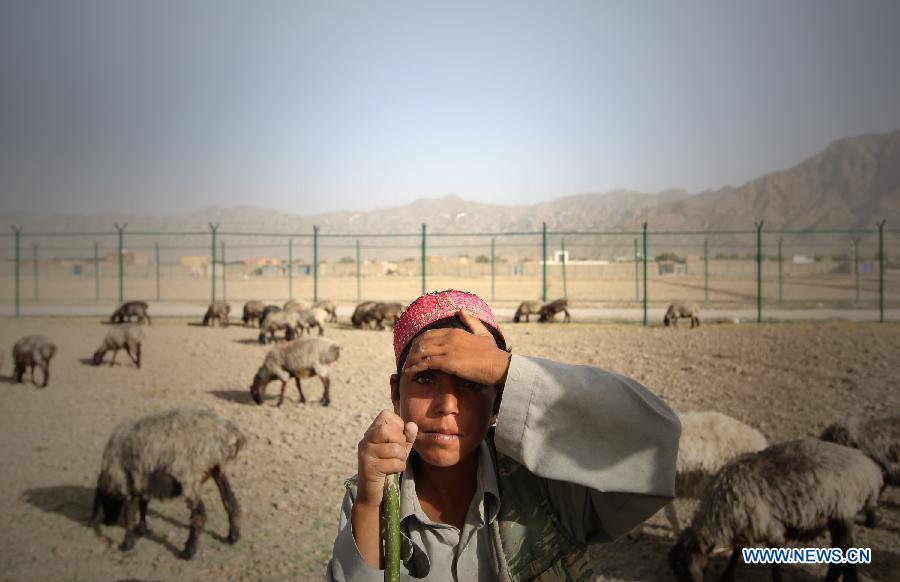 AFGHANISTAN-KABUL-NOMAD PEOPLE