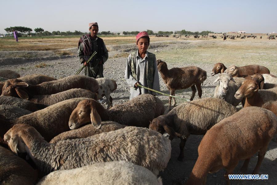 AFGHANISTAN-KABUL-NOMAD PEOPLE