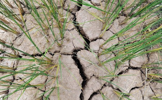 Drought continues to parch southern China