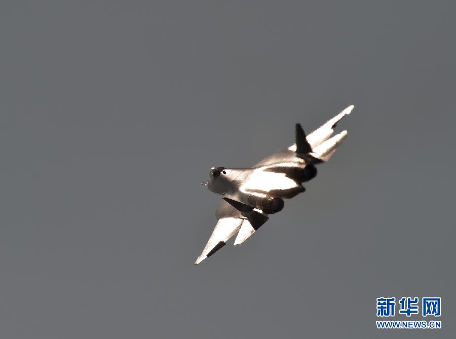 A Sukhoi T-50 flies during a display at the opening of the MAKS International Aviation and Space Salon at Zhukovsky airport outside Moscow August 17, 2011. The T-50, a joint project between Russia and India, made its first public flight on Wednesday. 