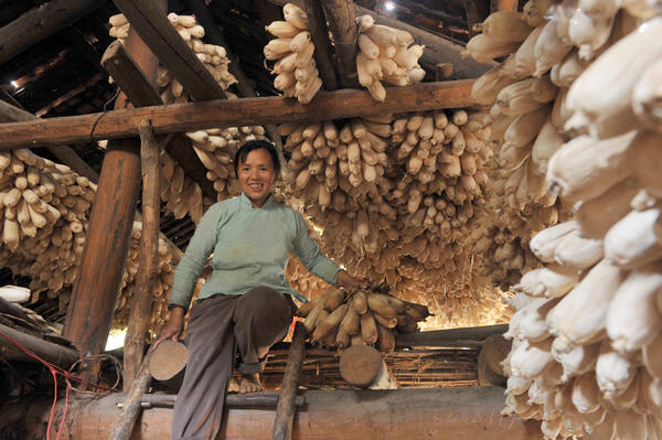 A woman puts corn on the roof of her house to dry it in Xishan, a town in the Guangxi Zhuang autonomous region, on Aug 9. The town is a State-level poverty-stricken area with poor road access. [Photo / Xinhua]