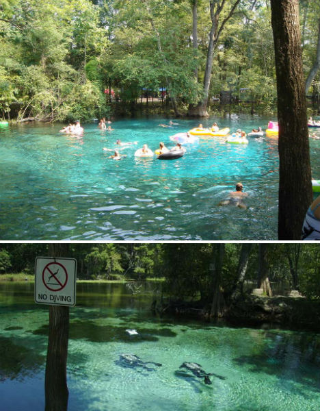 Ginnie Springs, Florida. [Photo: xinhuanet.com]