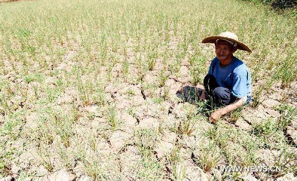 A farmer squats on the dry field in Tuanjie Village of Gulin County, southwest China&apos;s Sichuan Province, Aug. 18, 2011. The drought in the county has left nearly 168,000 people and 101,000 livestock short of drinking water, affected 38,360 hectares of farmland and caused direct economic losses of 162.56 million yuan (about 25.45 million U.S. dollars).