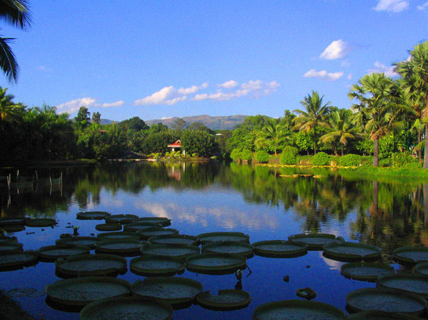 Xishuangbanna Tropical Botanical Garden, one of the &apos;Top 10 Yunnan attractions&apos; by China.org.cn.