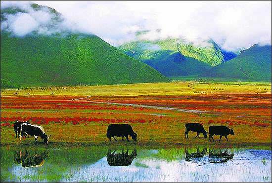 Shangri-La, one of the &apos;Top 10 Yunnan attractions&apos; by China.org.cn.