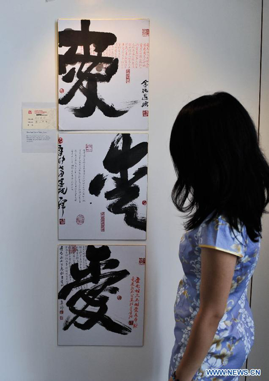 A visitor enjoys works by Chinese calligraphist Chen Jinchun at the opening ceremony of his exhibition 'Charm of the Chinese Calligraphy' in Palais des Nations, Geneva, Switzerland, Aug. 18, 2011.