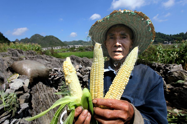 Severe drought is once again affecting southwestern China. In rural Guizhou Province, the big thirst has led to a shortage of grain for many farmers.