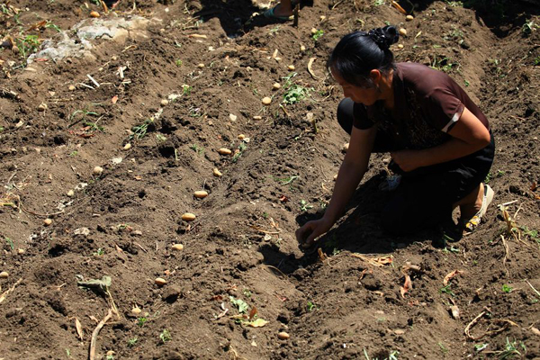 Severe drought is once again affecting southwestern China. In rural Guizhou Province, the big thirst has led to a shortage of grain for many farmers.