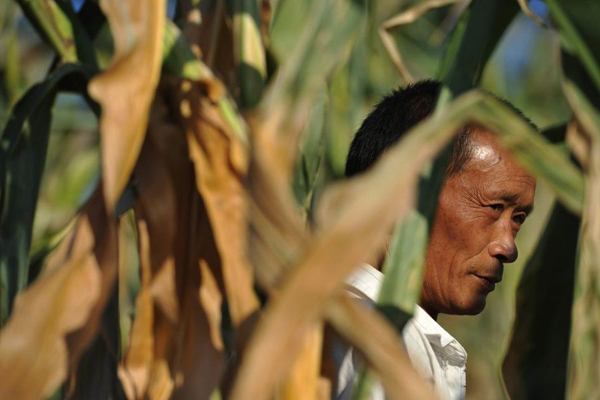 Severe drought is once again affecting southwestern China. In rural Guizhou Province, the big thirst has led to a shortage of grain for many farmers.