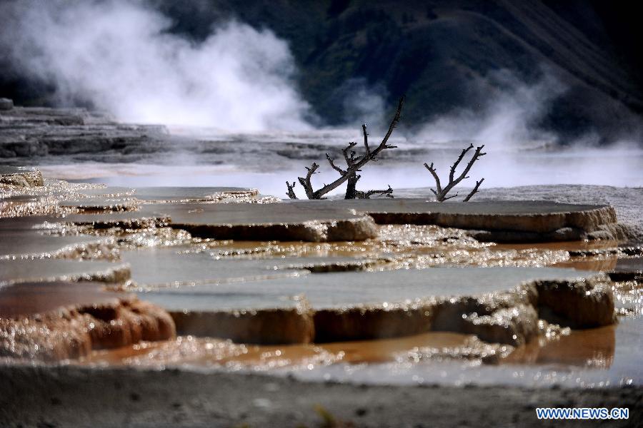Photo taken on Aug. 8, 2011 shows the scenery of Mammoth Hot Springs in Yellowstone National Park, the United States. Established in 1872, Yellowstone is a national park located primarily in the state of Wyoming, although it also extends into Montana and Idaho. Yellowstone was the first national park in the world and is known for its wildlife and its many geothermal features. (Xinhua/Shen Hong) 
