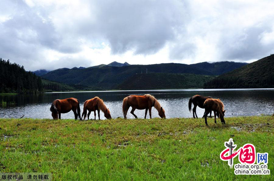 Literally meaning 'sun and moon in heart' in Tibetan, Shangri-la, an ideal home only found in heaven, is located at the meeting point of Tibet, Yunnan and Sichuan. [China.org.cn]