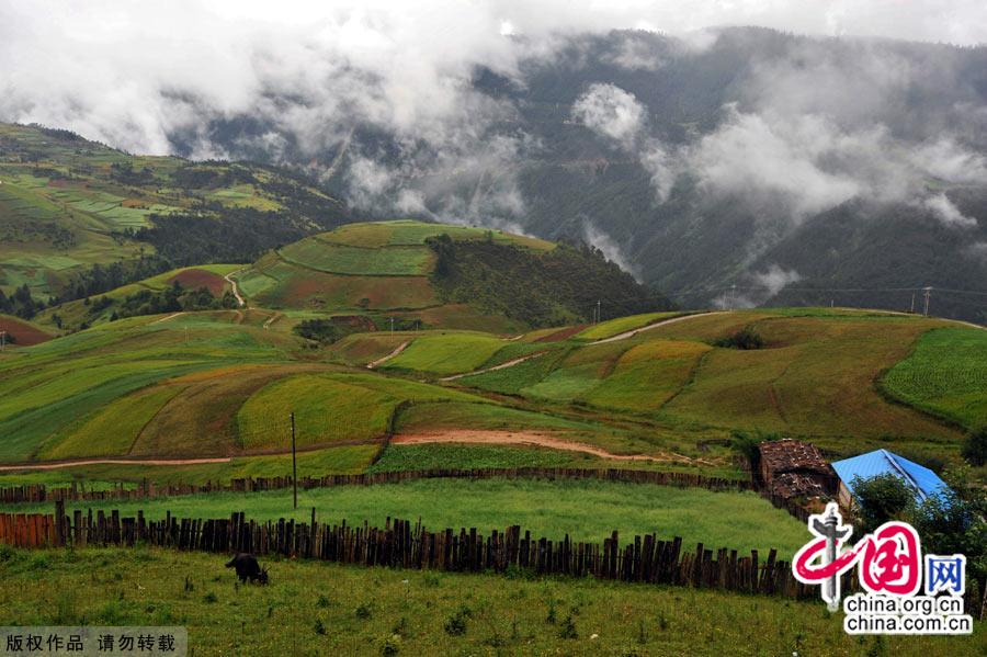 Literally meaning 'sun and moon in heart' in Tibetan, Shangri-la, an ideal home only found in heaven, is located at the meeting point of Tibet, Yunnan and Sichuan. [China.org.cn]