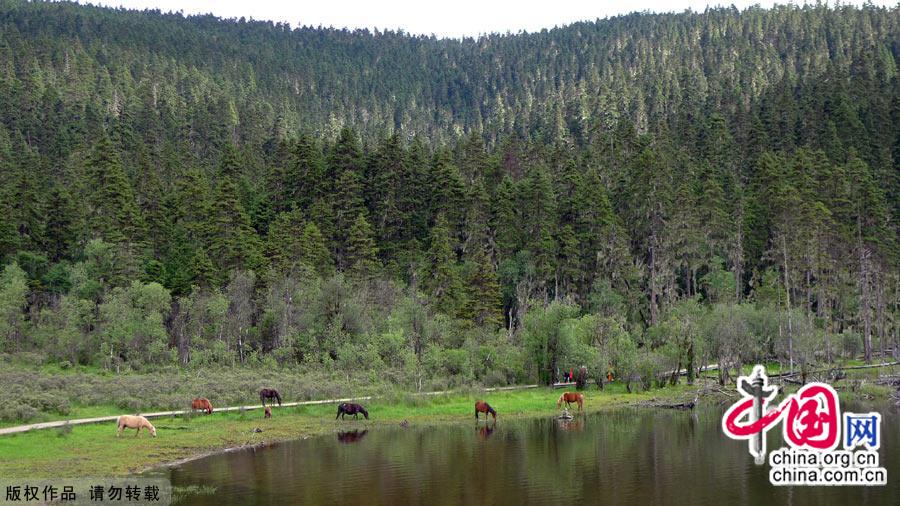 Literally meaning 'sun and moon in heart' in Tibetan, Shangri-la, an ideal home only found in heaven, is located at the meeting point of Tibet, Yunnan and Sichuan. [China.org.cn]