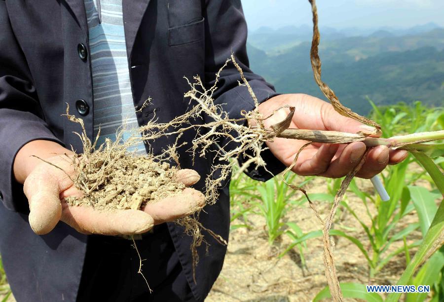 CHINA-YUNNAN-QUJING-DROUGHT (CN)