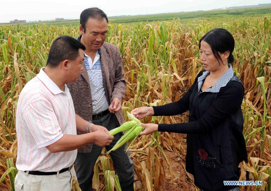 CHINA-YUNNAN-QUJING-DROUGHT (CN)