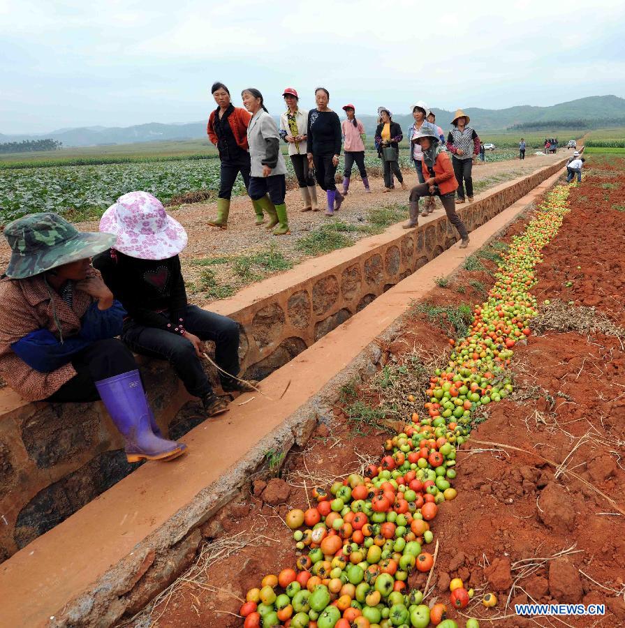 CHINA-YUNNAN-QUJING-DROUGHT (CN)