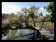 Tengchong in Baoshan, Yunnan, is located on the border with Myanmar. It was once a communications hub of the Silk Road. As a cultural and historical city, it is now a trading post for emerald. Tenchong is also well known for its hot sea and cluster of about 70 volcanoes. The hot sea is actually a group geothermal springs. They are not only a marvelous scenic area but also good for health and have been used as a sanitarium. [莫厘峰客/bbs.fengniao]