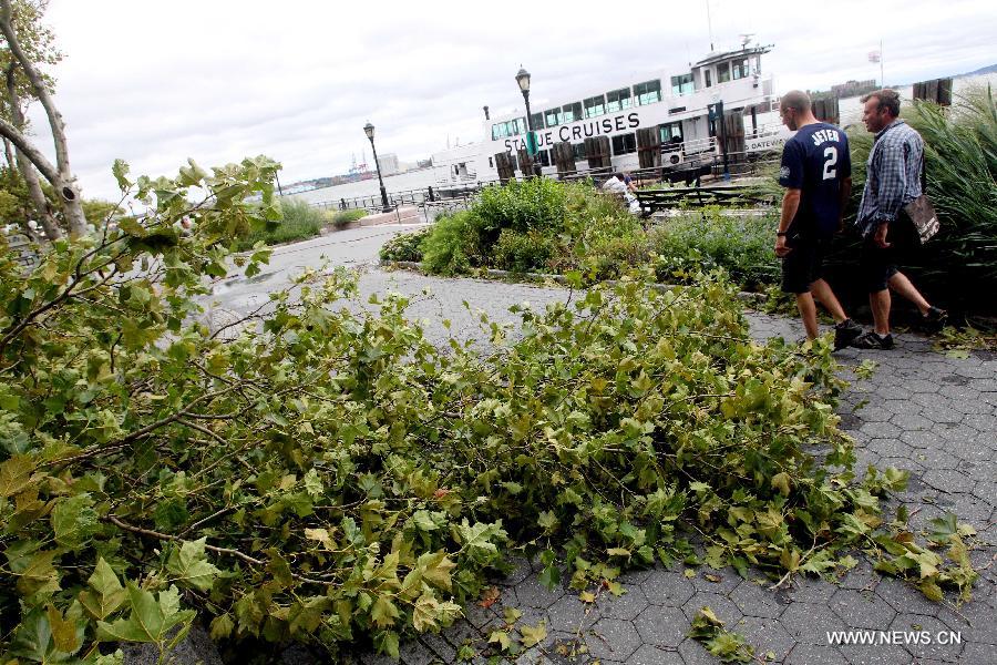 A broken tree branch is seen at the Battery Park in New York, the United States, Aug. 28, 2011. U.S. Homeland Security Secretary Janet Napolitano said on Sunday that the worst of Hurricane Irene was over but communities still in Irene's path should continue to be vigilant. It lost some strength as it hit the New York City Sunday morning. [Xinhua]