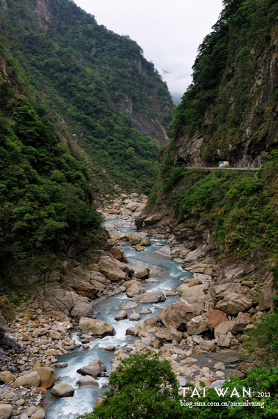 A creek snake slips along a gorge at Taroko National Park.