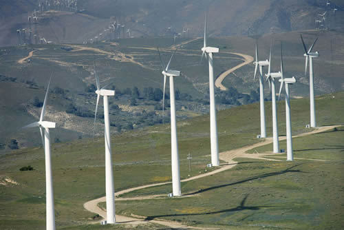 The Inner Mongolia province has installed wind power stations that reached 3 million kilowatts in capacity by the end of 2008. [File photo]